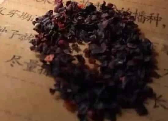 植物百科|康乃馨有种子吗