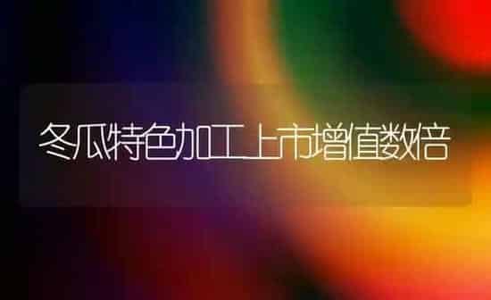 冬瓜特色加工上市增值数倍 | 蔬菜种植