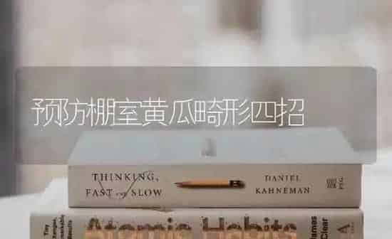 预防棚室黄瓜畸形四招 | 蔬菜种植