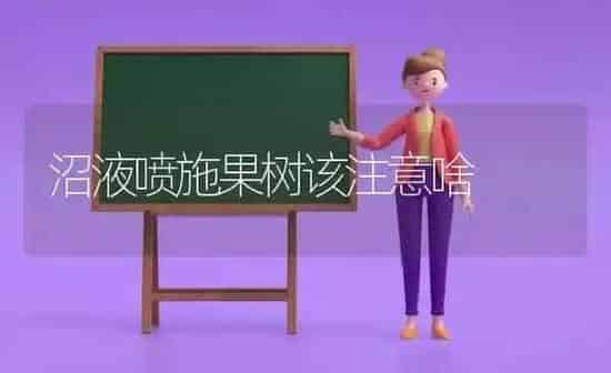 沼液喷施果树该注意啥 | 瓜果种植