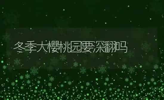 冬季大樱桃园要深翻吗 | 瓜果种植