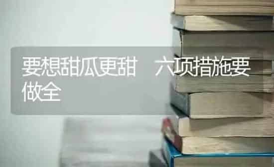 要想甜瓜更甜　六项措施要做全 | 瓜果种植