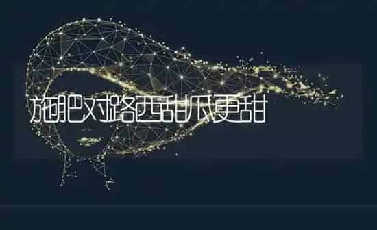 施肥对路西甜瓜更甜 | 种植肥料施肥