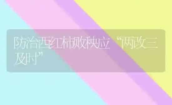 防治西红柿败秧应“两改三及时” | 蔬菜种植