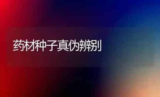 药材种子真伪辨别 | 药材种植