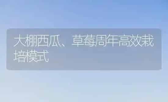 大棚西瓜、草莓周年高效栽培模式 | 瓜果种植