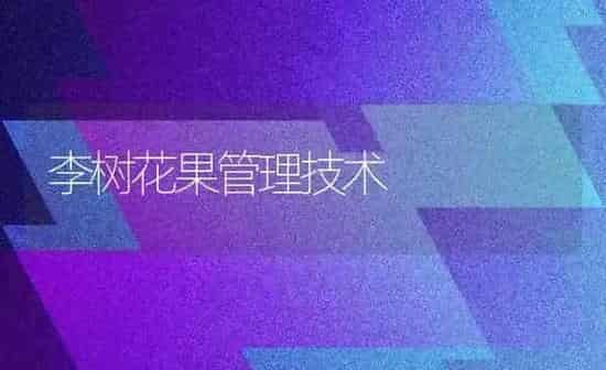 李树花果管理技术 | 瓜果种植