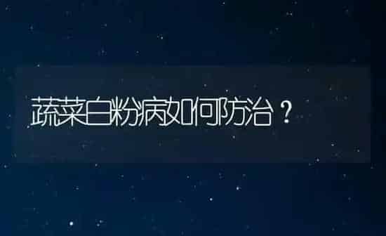 蔬菜白粉病如何防治？ | 蔬菜种植