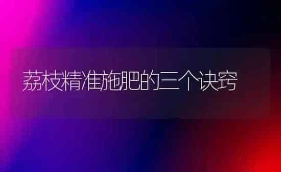 荔枝精准施肥的三个诀窍 | 种植肥料施肥