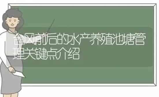 台风前后的水产养殖池塘管理关键点介绍 | 动物养殖百科