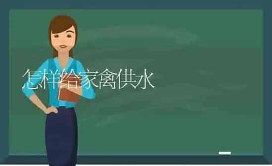 怎样给家禽供水 | 家禽养殖