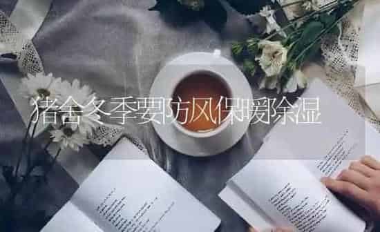 猪舍冬季要防风保暖除湿 | 家畜养殖