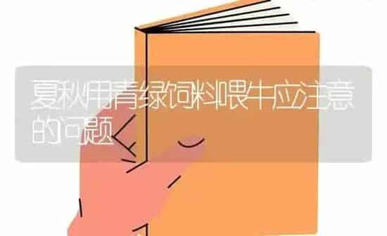 夏秋用青绿饲料喂牛应注意的问题 | 动物养殖饲料
