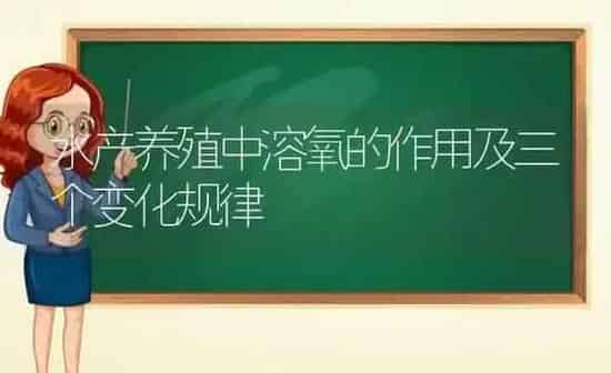 水产养殖中溶氧的作用及三个变化规律 | 动物养殖百科
