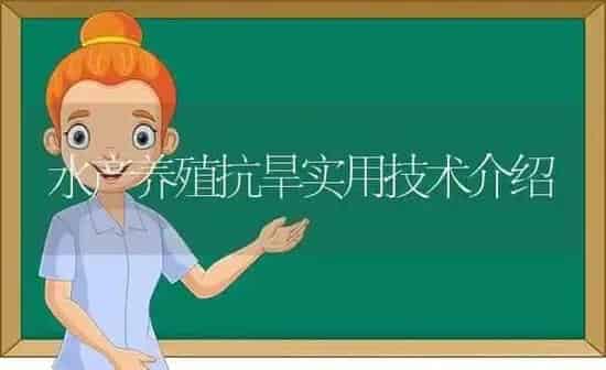 水产养殖抗旱实用技术介绍 | 动物养殖百科