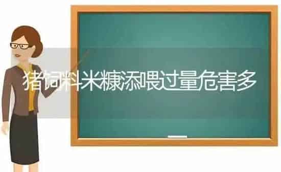 猪饲料米糠添喂过量危害多 | 家畜养殖