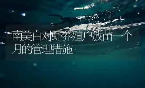 南美白对虾养殖户放苗一个月的管理措施 | 海水养殖