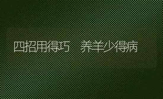 四招用得巧 养羊少得病 | 家畜养殖