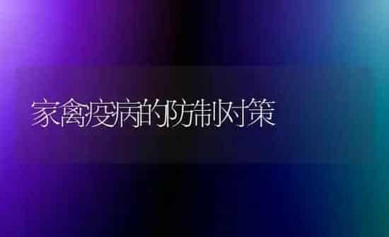 家禽疫病的防制对策 | 家禽养殖