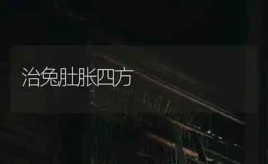 治兔肚胀四方 | 家畜养殖