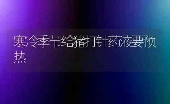 寒冷季节给猪打针药液要预热 | 养殖病虫害防治