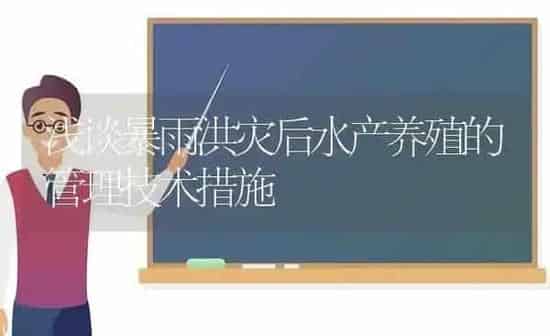 浅谈暴雨洪灾后水产养殖的管理技术措施 | 动物养殖百科
