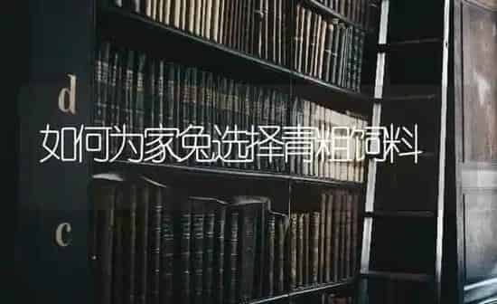 如何为家兔选择青粗饲料 | 动物养殖饲料