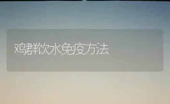 鸡群饮水免疫方法 | 家禽养殖