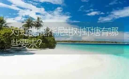 对虾塘混养泥蚶对虾塘有哪些要求？ | 海水养殖