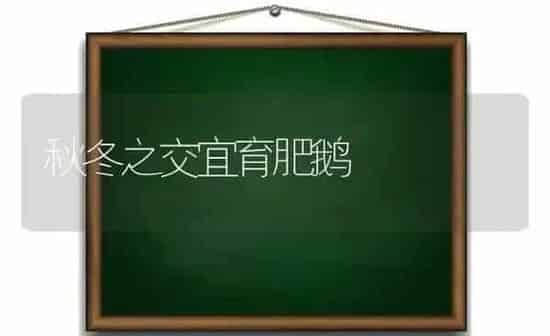 秋冬之交宜育肥鹅 | 家禽养殖