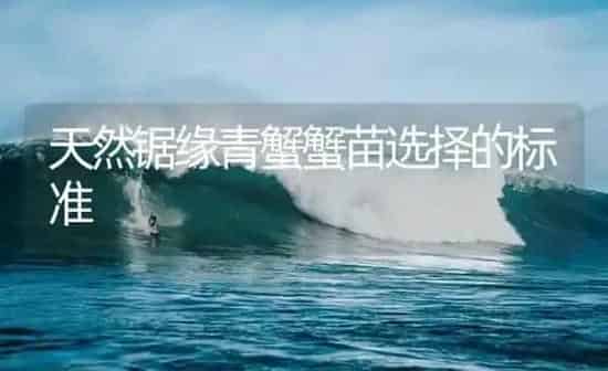 天然锯缘青蟹蟹苗选择的标准 | 海水养殖