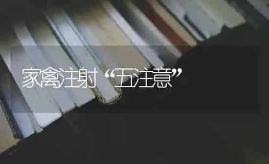 家禽注射“五注意” | 家禽养殖