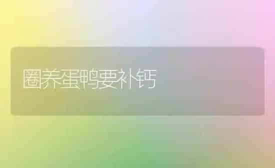 圈养蛋鸭要补钙 | 家禽养殖