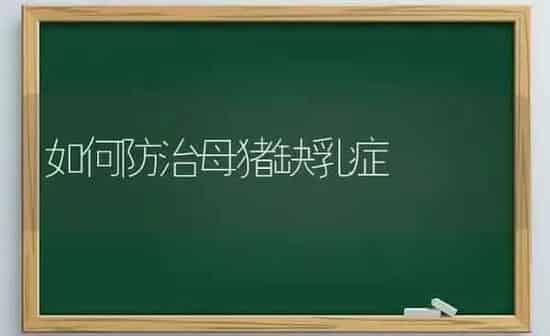 如何防治母猪缺乳症 | 家畜养殖