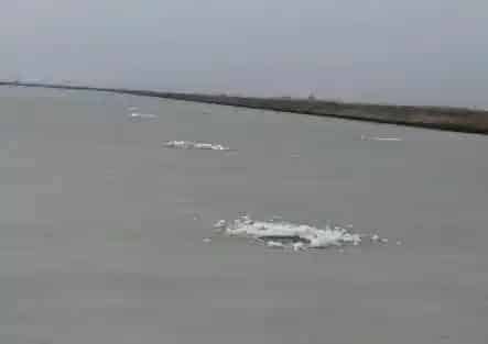 海参池塘春季化冰前后管理要点