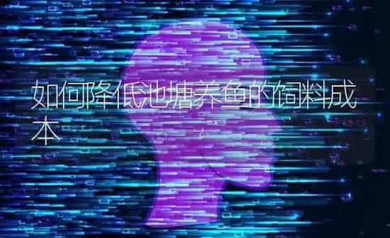 如何降低池塘养鱼的饲料成本 | 动物养殖饲料
