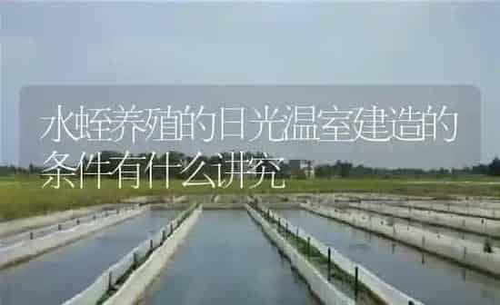 水蛭养殖的日光温室建造的条件有什么讲究 | 特种养殖