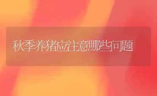 秋季养猪应注意哪些问题 | 家畜养殖