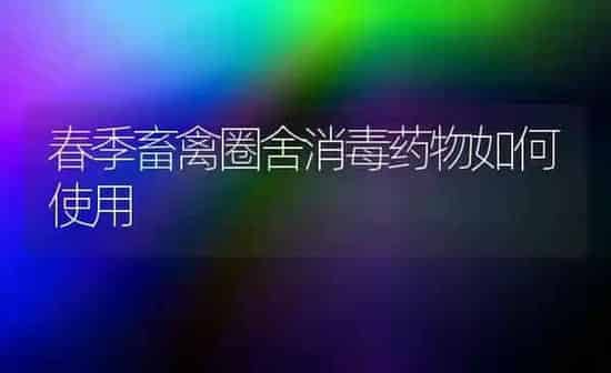 春季畜禽圈舍消毒药物如何使用 | 养殖病虫害防治