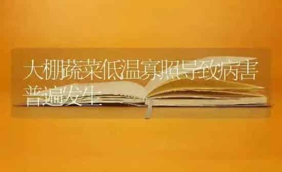 鹅鸭拔毛后咋饲管 | 家禽养殖