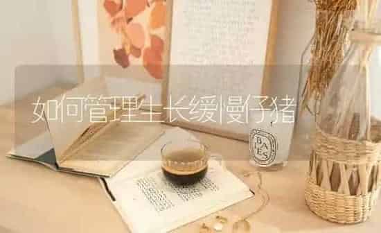 如何管理生长缓慢仔猪 | 家畜养殖
