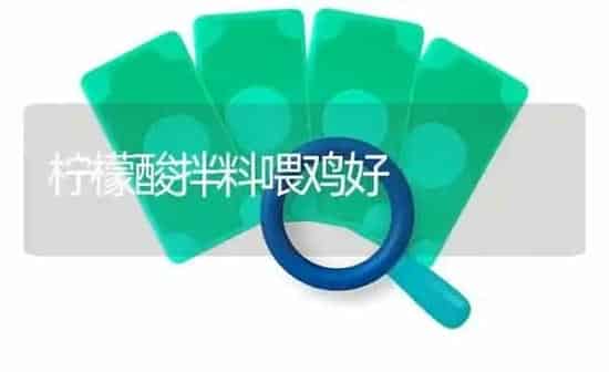 雏鹅也怕潮湿 | 家禽养殖