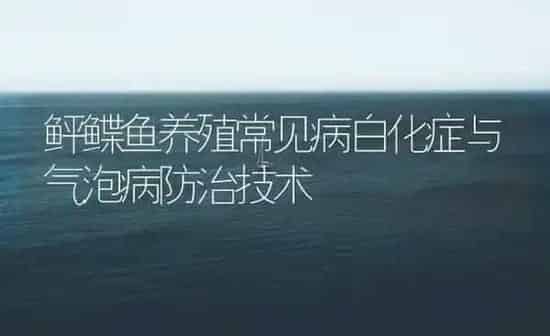 鲆鲽鱼养殖常见病白化症与气泡病防治技术 | 海水养殖