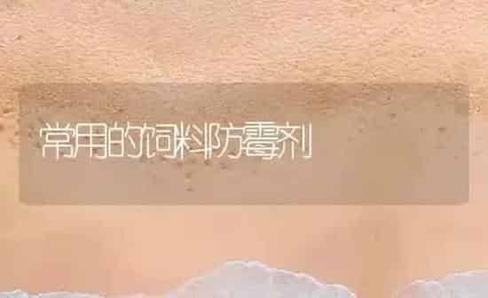 常用的饲料防霉剂 | 动物养殖饲料