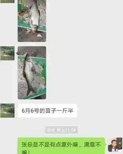 鱼长得太快,养殖户都不能信是真的