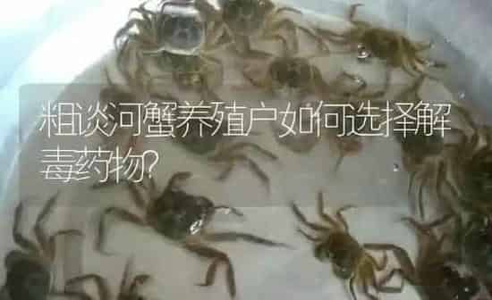 粗谈河蟹养殖户如何选择解毒药物? | 养殖病虫害防治