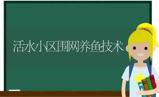活水小区围网养鱼技术 | 动物养殖百科