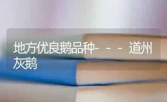 地方优良鹅品种---道州灰鹅 | 家禽养殖