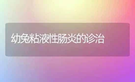 幼兔粘液性肠炎的诊治 | 家畜养殖