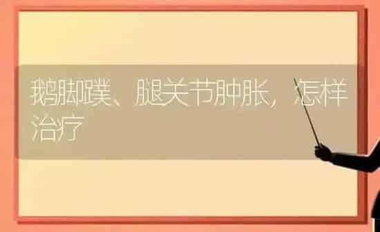 鹅脚蹼、腿关节肿胀，怎样治疗 | 家禽养殖